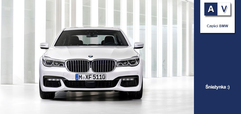 Śnieżynka czyli BMW G12